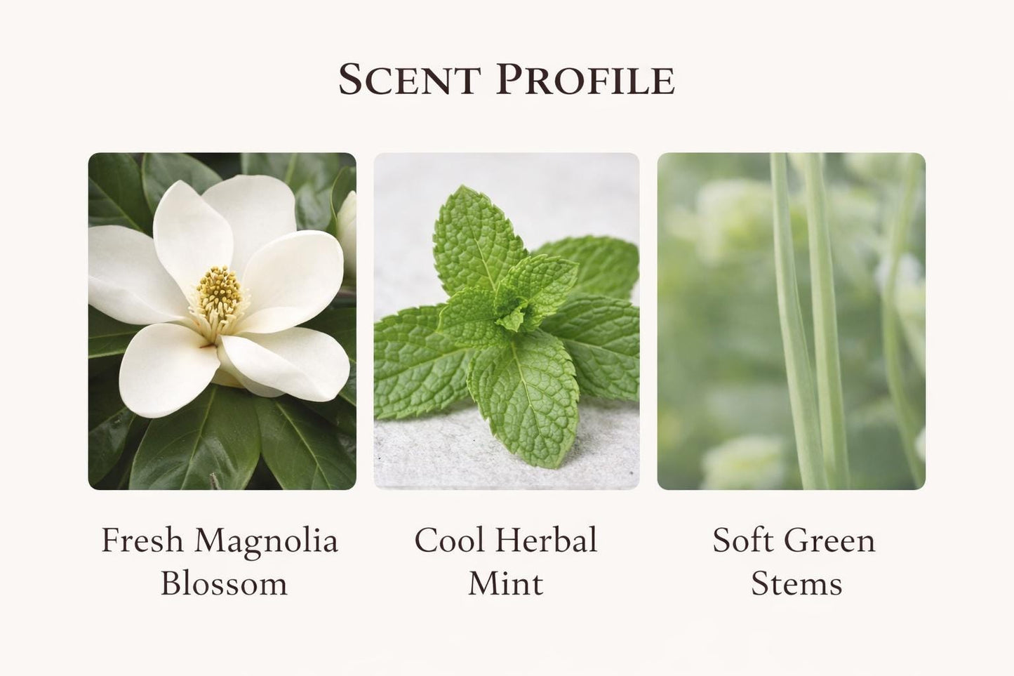 Magnolia Mint Scented Candle: Vegan CocoSoy Wax, Recycled Glass Jar