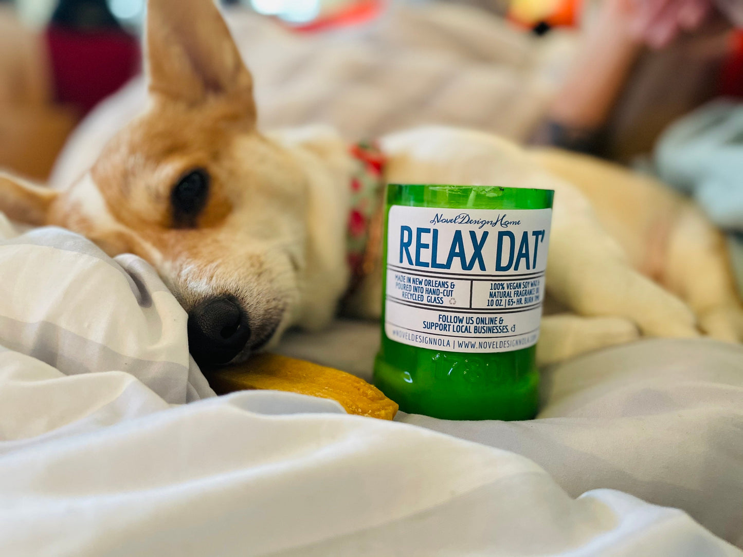 Relax Dat' Scented Candle – Cedar, Lavender, Eucalyptus, Vegan CocoSoy Wax