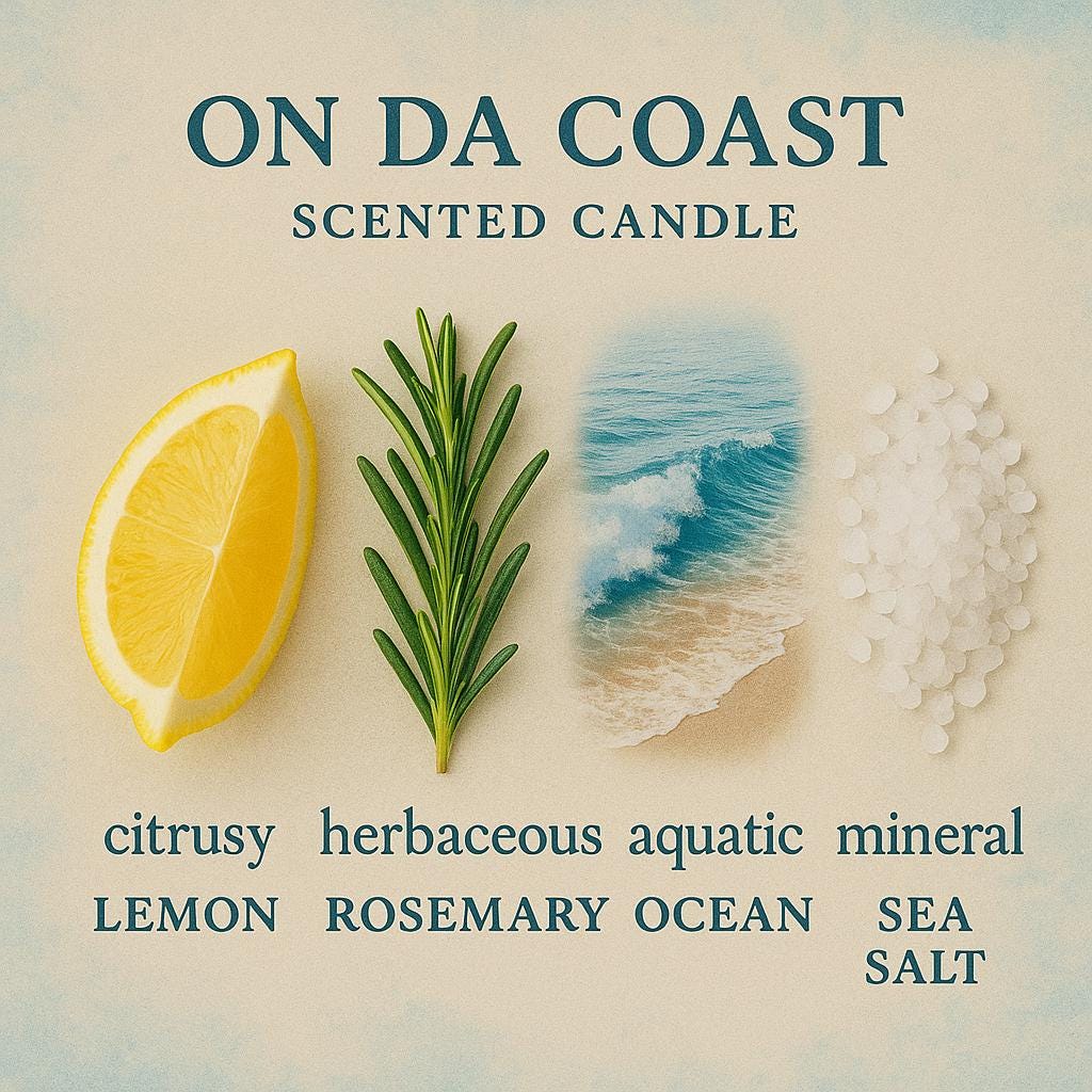 On Da’ Coast Scented Wax Tarts — Seashell-Shaped Shimmering Wax Melts, Gulf Coast Beach Day Scent, Vegan CocoSoy, Made in New Orleans
